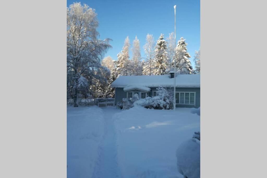 Arctic Circle Tranquillity Βίλα Ροβανιέμι Εξωτερικό φωτογραφία